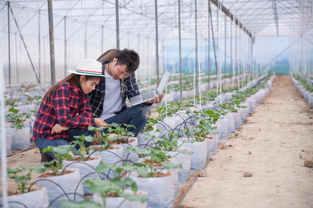 agricultural-researcher-with-tablet-slowly-inspect-plants