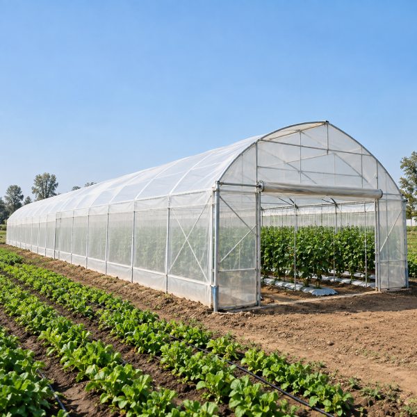 Agriculture Poly House