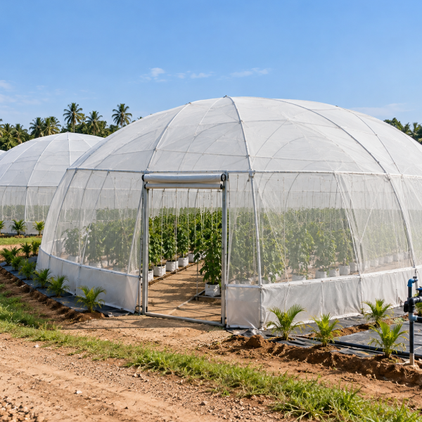 Dome Type Net House