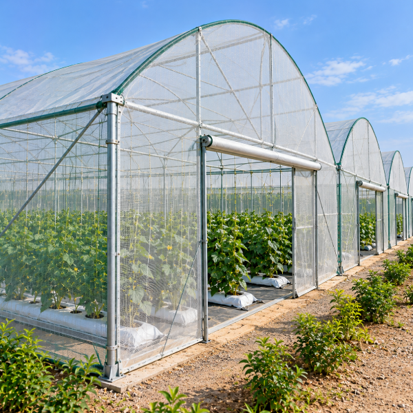 Net Poly Houses