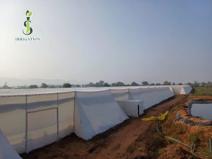 Greenhouse Project Handover