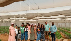 Family Group Visiting Net House Project